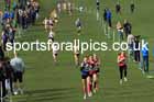 Womens Under-20s, 2024 CAU Inter Counties Cross Country Champs., Wollaton Park, Nottingham. Photo: David T. Hewitson/Sports for All Pics